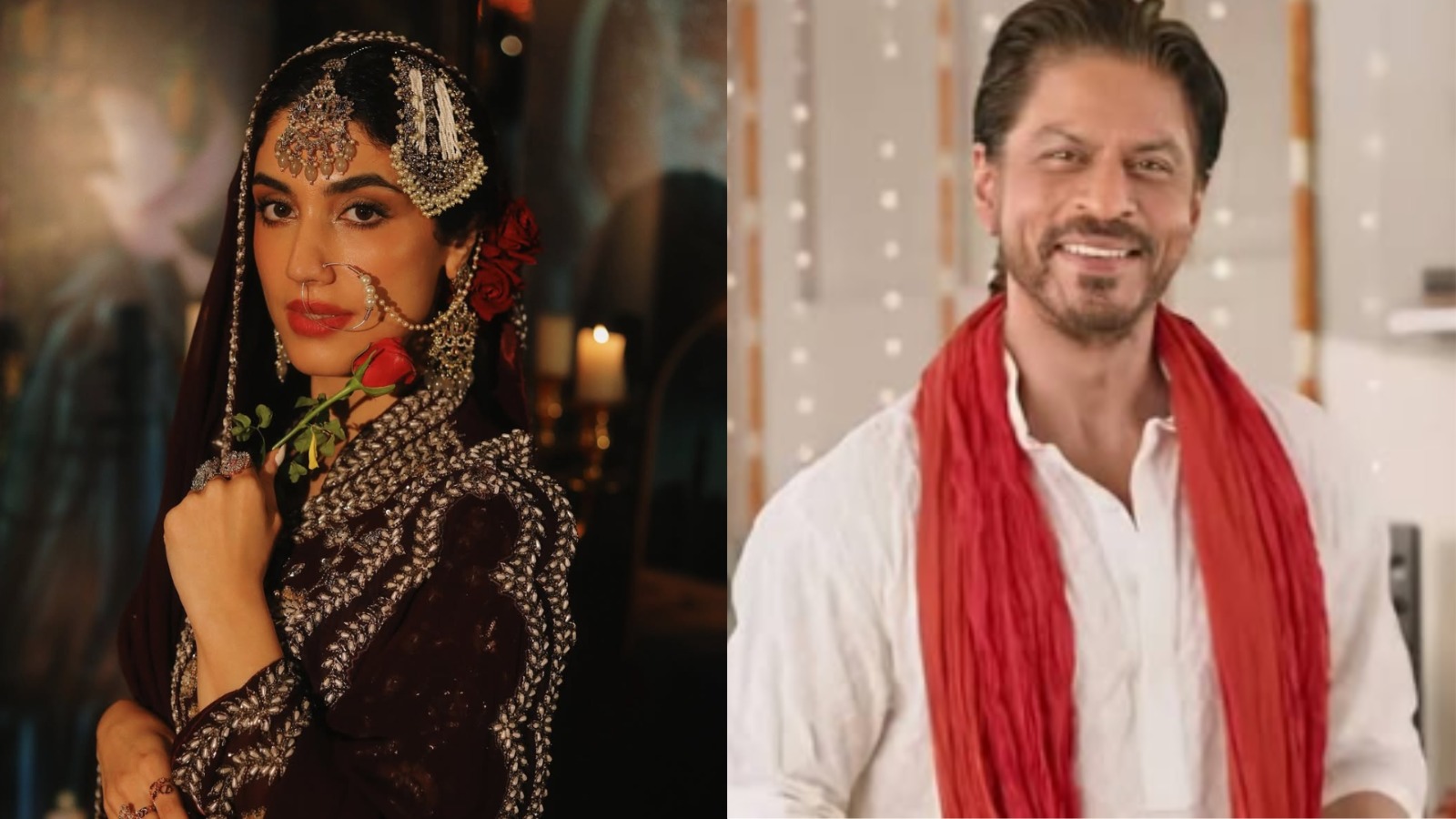 Delbar Arya manifests working with Shah Rukh Khan says- 